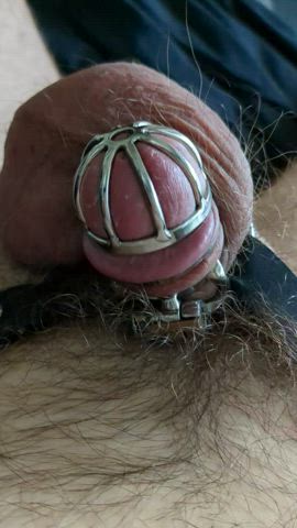 chastity gay penis gif