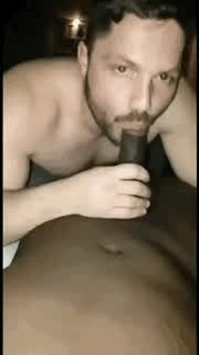 bbc blowjob dutch gay interracial pov blowjobs gif