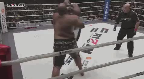 BOB SAPP SWEEPS OSUNAARASHI! (RIZIN13)