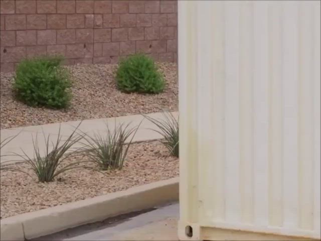 big tits codi vore natural tits gif