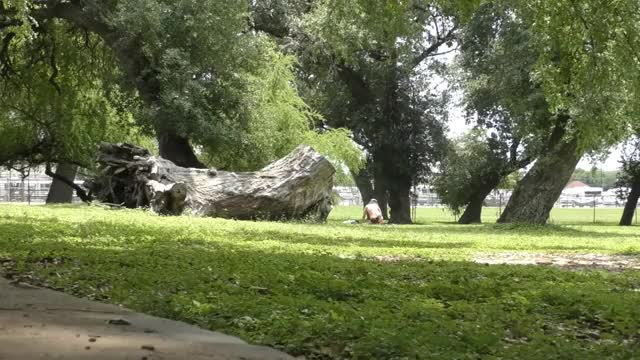 Public Sun Bathing