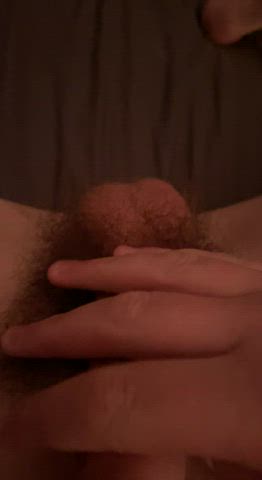 Balls Cock Hairy Cock gif