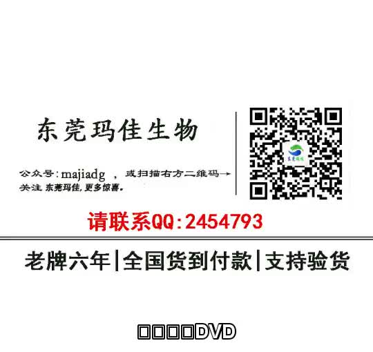 车载专用DVD【货到付款Q:２４５４７９３】