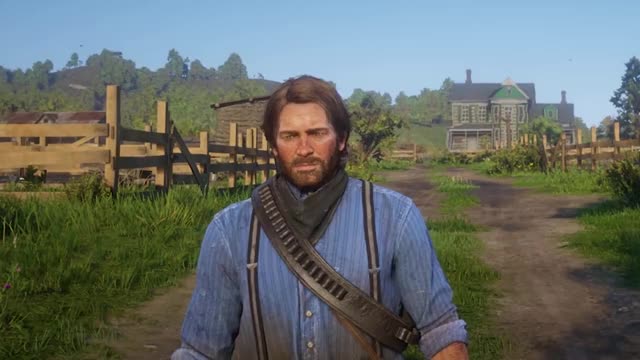 15 INSANE Details in Red Dead Redemption 2 (Part 5)
