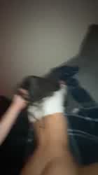 Amateur Doggystyle Hair Pulling