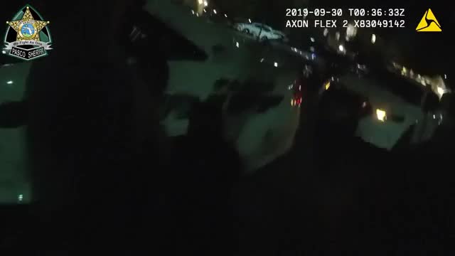 Stacey Dash in the Patrol Car