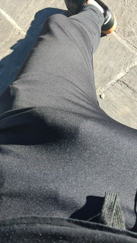cock public shorts gif