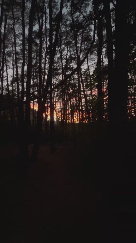 Amateur Quickie In the Woods [Into The Wilderness PH]