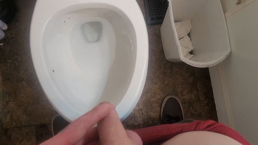 cock fetish penis pissing gif