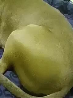 QUANDO VOCÊ SABE QUE TÁ GOSTOSA