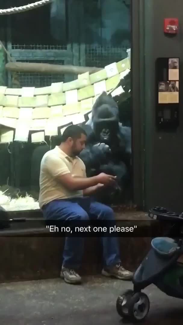 Eh no...