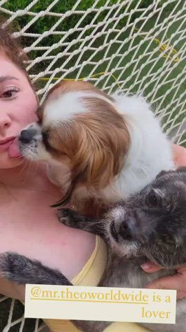 Bikini Celebrity Huge Tits gif