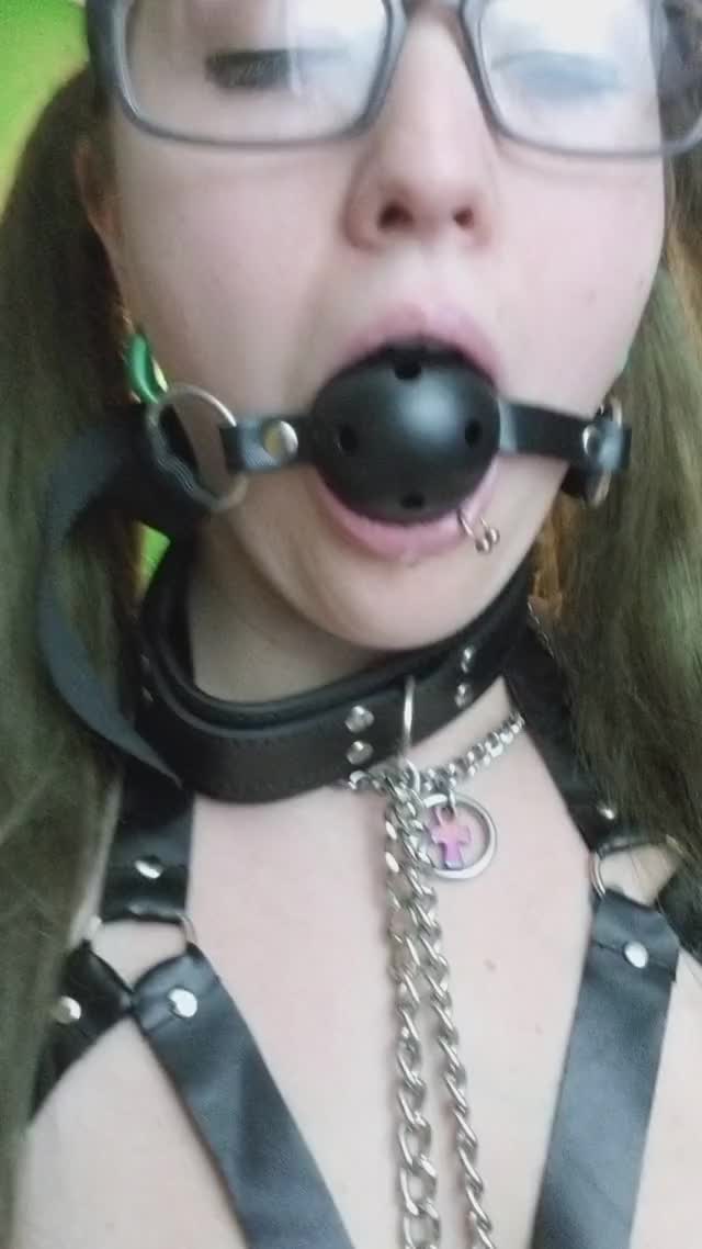 Collared, gagged, and clamped <3 [OC][F]