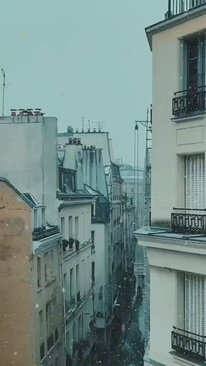 Ass Lesbian Thong gif