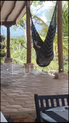 Handjob in the hammock with people nearby