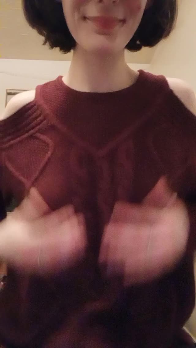 sweater puppies