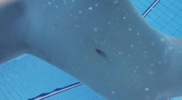 underwater-pussy