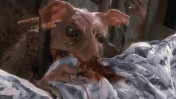 DEAD ALIVE 3