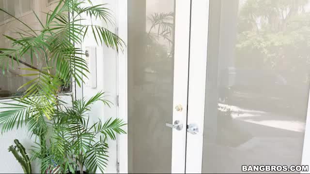 Monsters of Cock - Luna Star