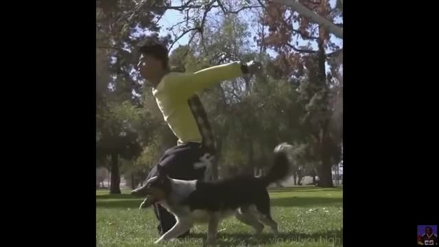 Gifs With Sound #5 ??