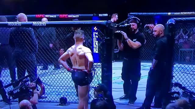 Peacock diego sanchez
