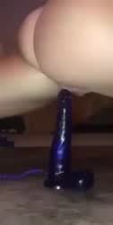 Dildo Huge Dildo Sex Toy gif