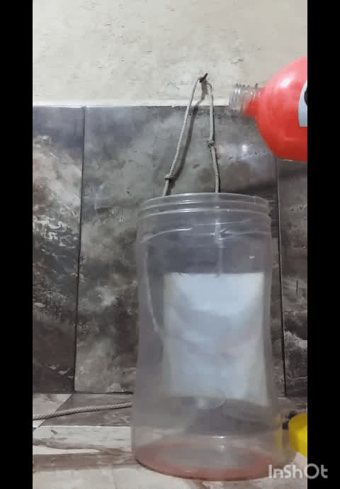 solo stranger r/weird_porn gif