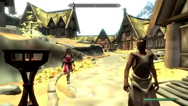 Skyrim Max Settings