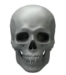Web Page Render 1