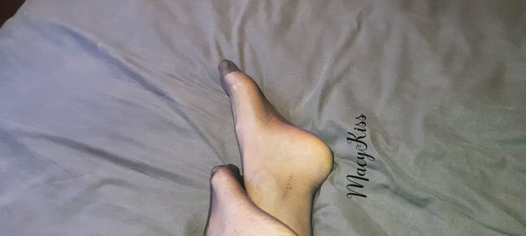 legs nylons pantyhose gif
