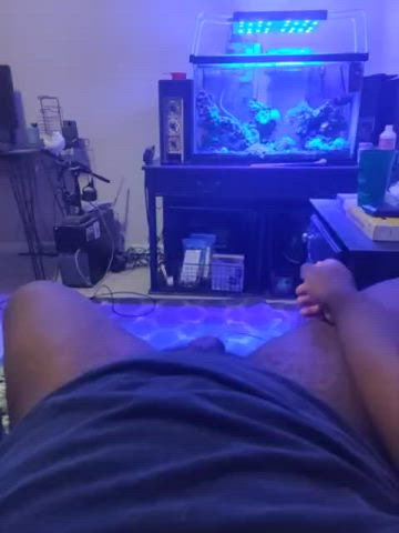 BBC Big Dick Cock Jerk Off gif