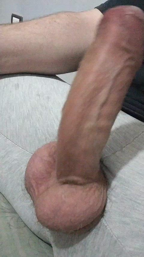 cock fat cock hairy cock hard monster cock thick cock gif