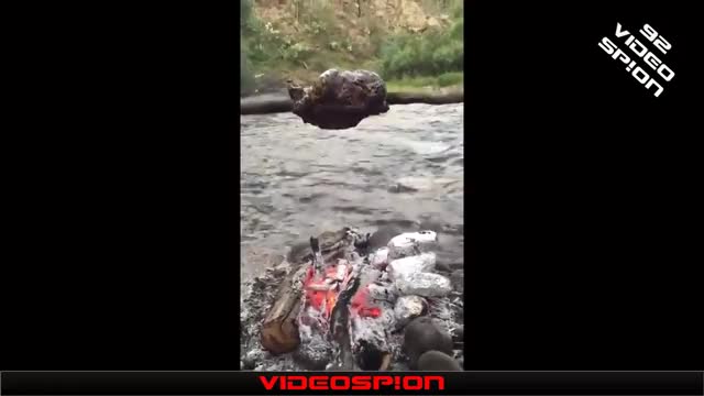 世界のおもしろ動画 TOP VIDEOS ハプニング映像集 VIDEOSPION №92