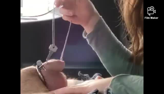 Cocks are so desperate for freedom, but when I have the keys, they may never get