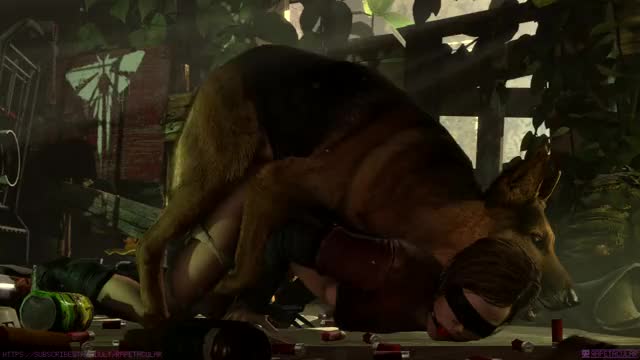 Ellie x Dog