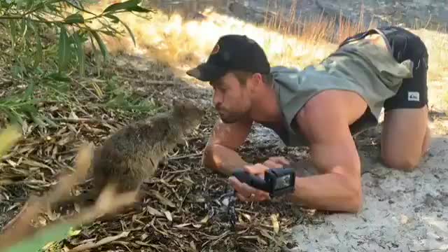 Chris Hemsworth twitter