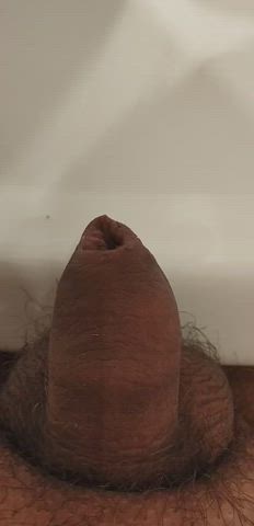 Pee Piss Pissing gif