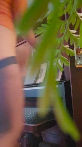 POV: You are hiding in my fern
