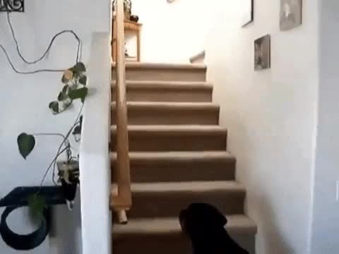 QUANDO DE REPENTE, VOCÊ ENCONTRA SUA EX NA RUA
