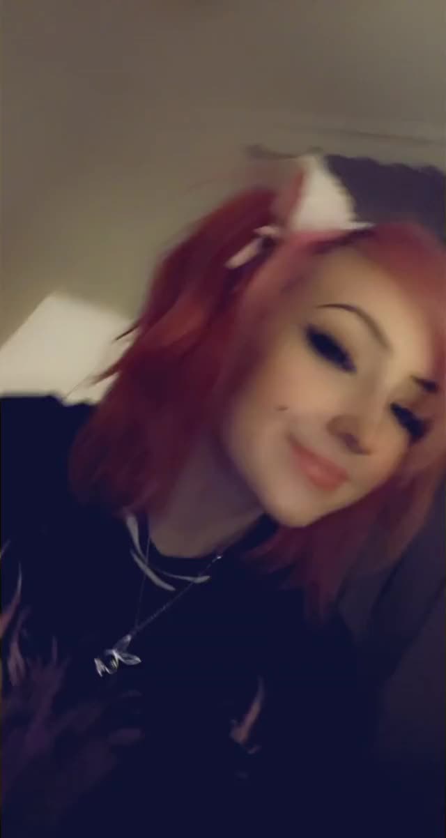 spitty kitty