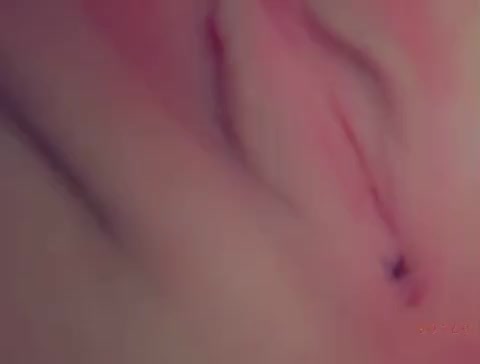 pussy gif