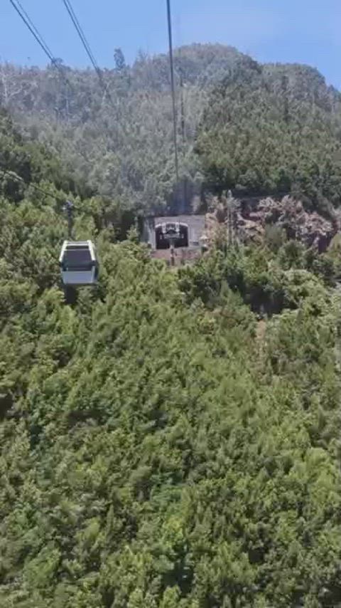 Wouldn't you agree that's a great view? The other cabins seemed to enjoy it, at least