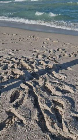 Beach GIF by beefypimp