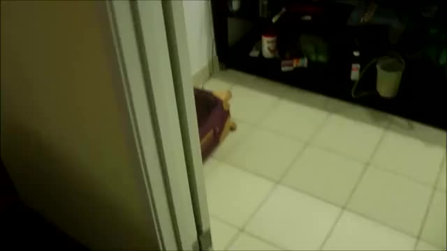 Caught