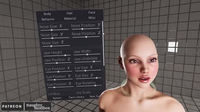 Naughty Sandbox Face Controls