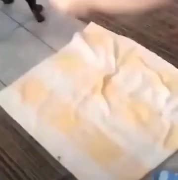 dog food