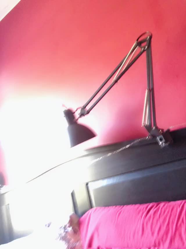 IMG 0004