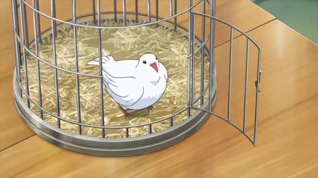 Tejina-senpai - S1 E1 W5