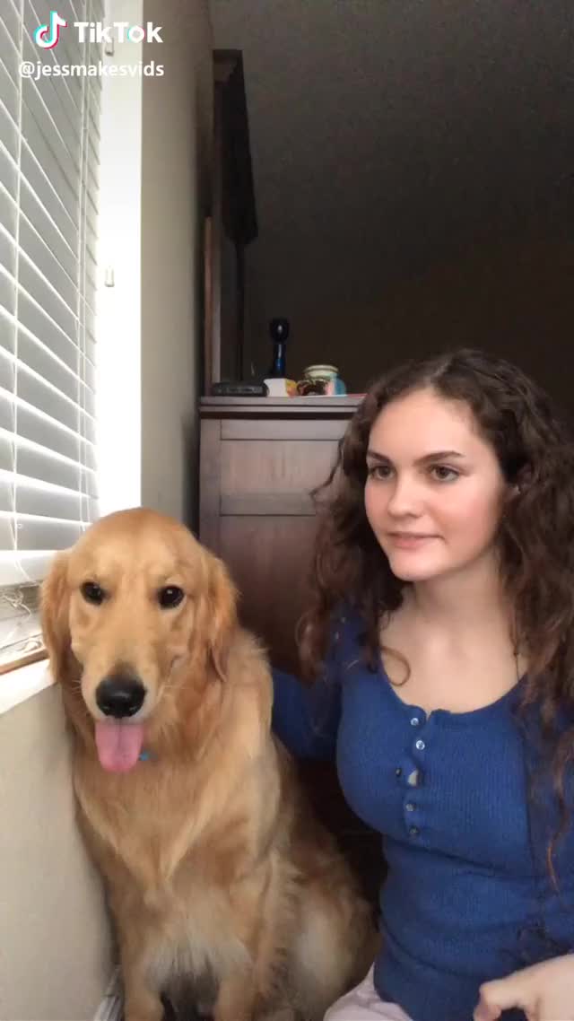 I think it scared him?? #foryou #foryoupage #trending #featureme #comedy #dog #feature