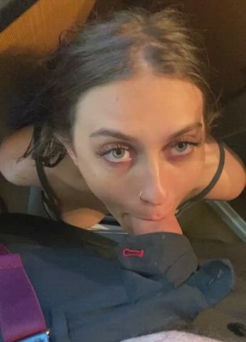 Amateur Blowjob OnlyFans gif